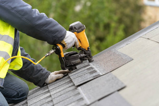 Best Solar Panel Roofing Installation  in Morehead, KY